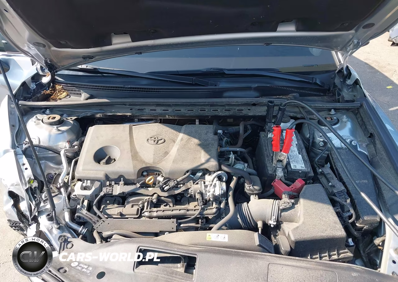 2023 Toyota Camry Le VIN:4T1C11AK4PU839485 - 10