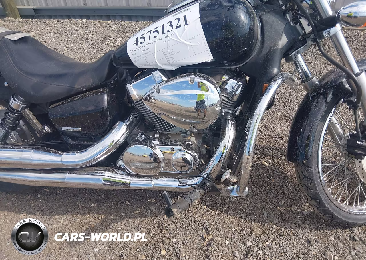 2014 Honda Vt750 C2 VIN:JH2RC5309EK600123 - 8