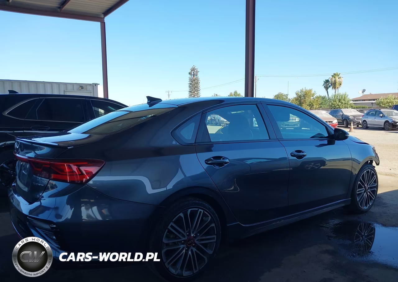 2020 Kia Forte Gt VIN:3KPF44AC1LE199859 - 13