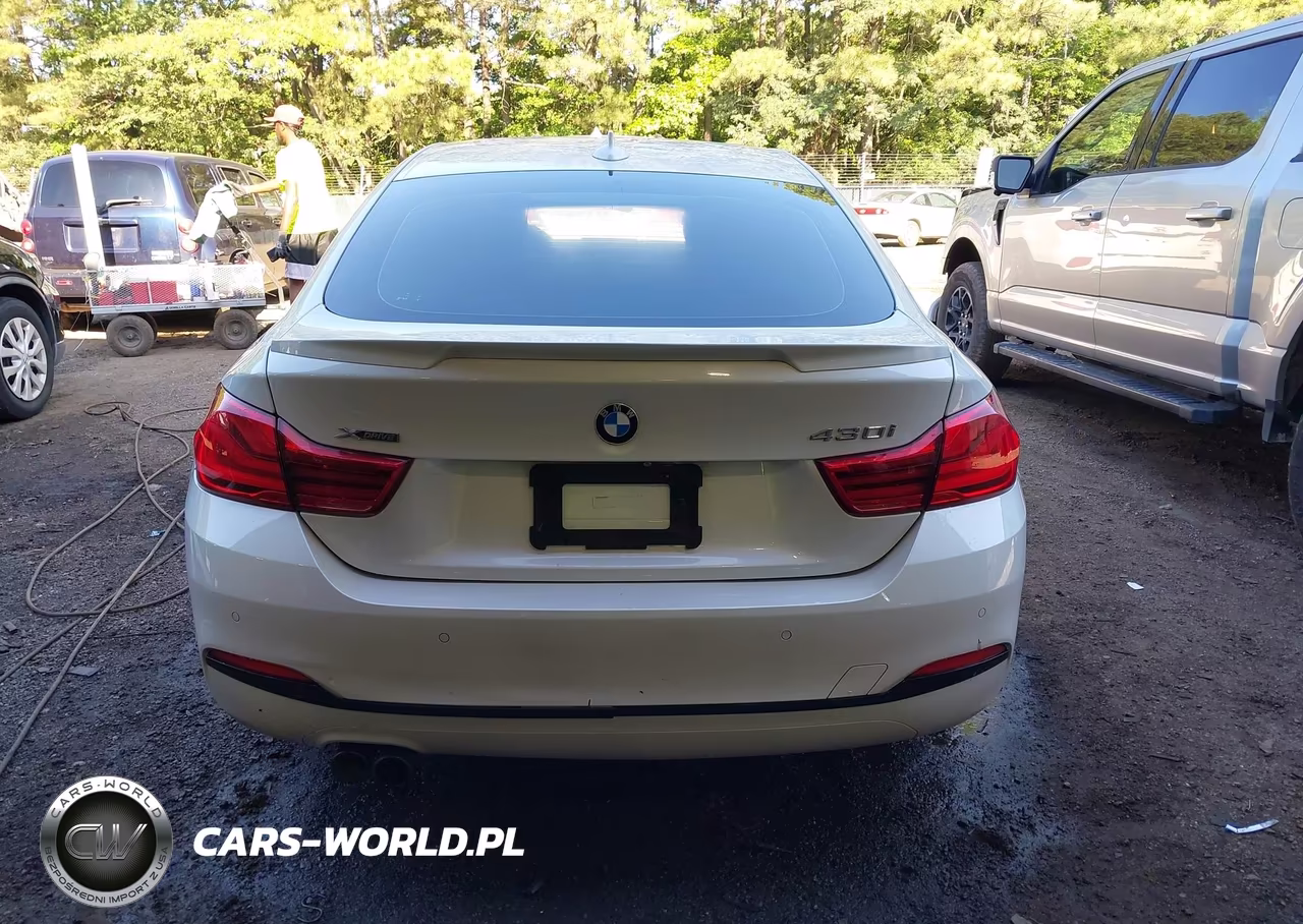 2019 BMW 430I Gran Coupe xDrive VIN:WBA4J3C56KBL06387 - 17