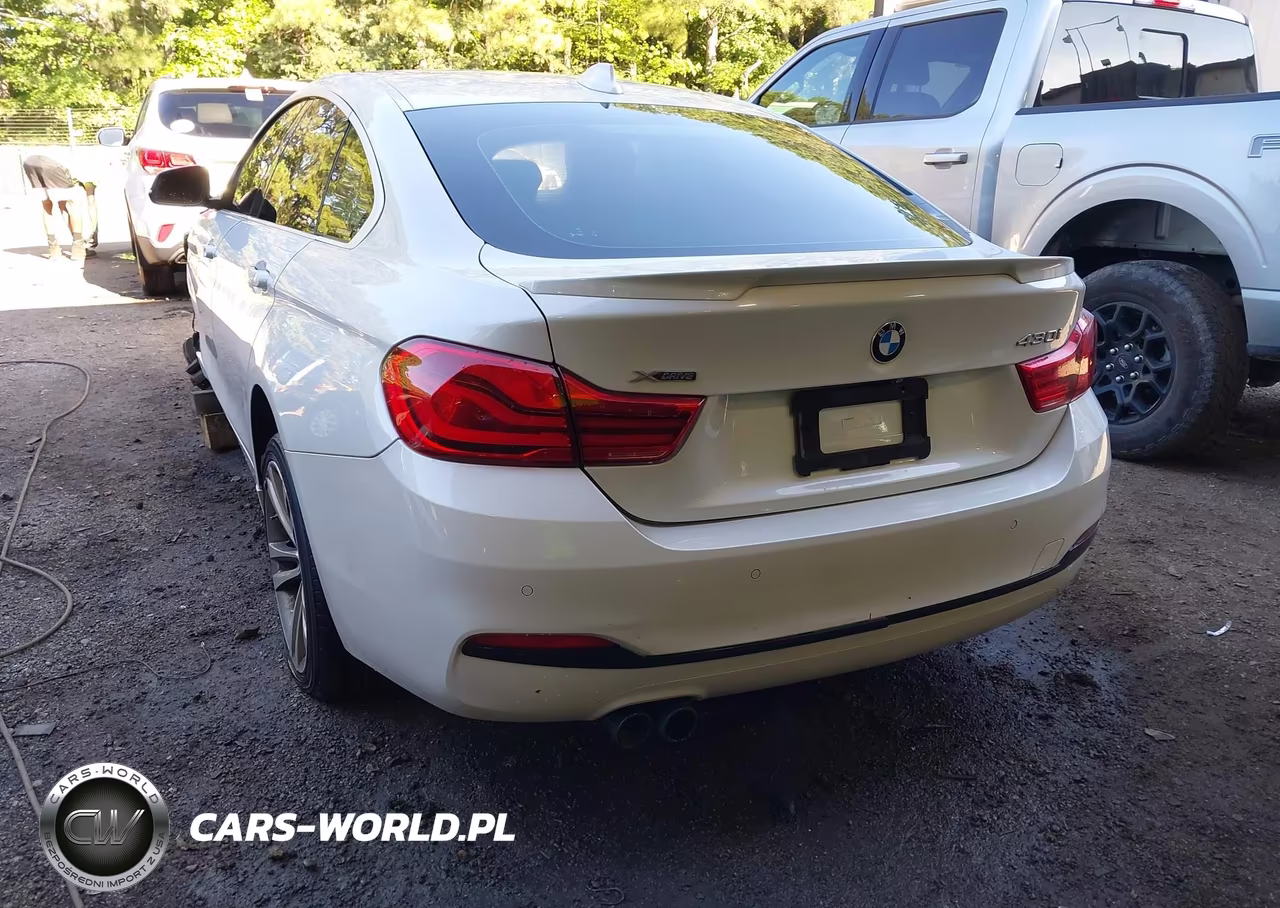 2019 BMW 430I Gran Coupe xDrive VIN:WBA4J3C56KBL06387 - 3