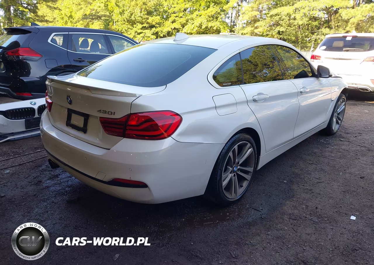 2019 BMW 430I Gran Coupe xDrive VIN:WBA4J3C56KBL06387 - 4