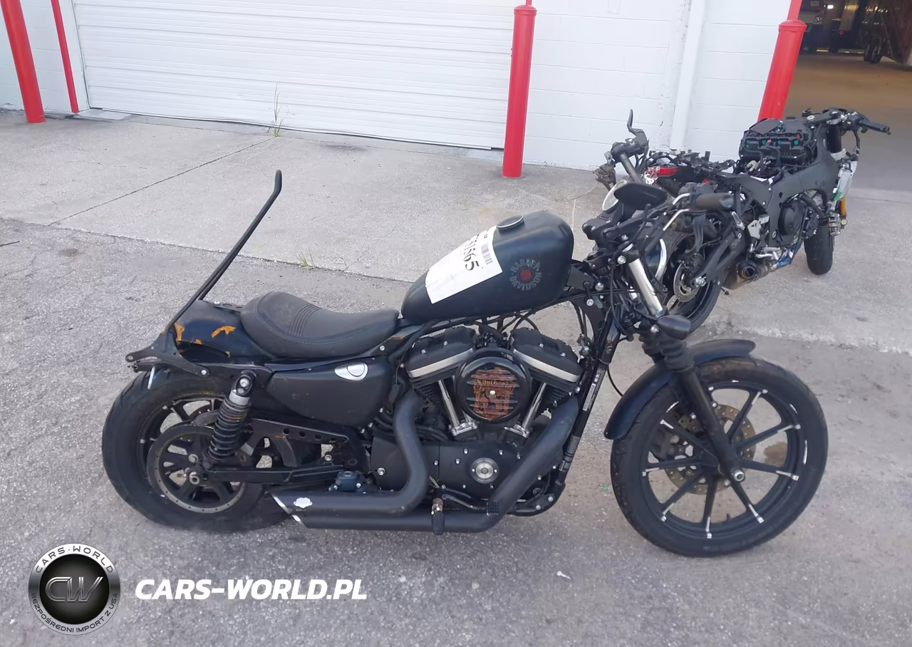 2020 Harley-Davidson Xl883 N VIN:1HD4LE211LB423012 - 12