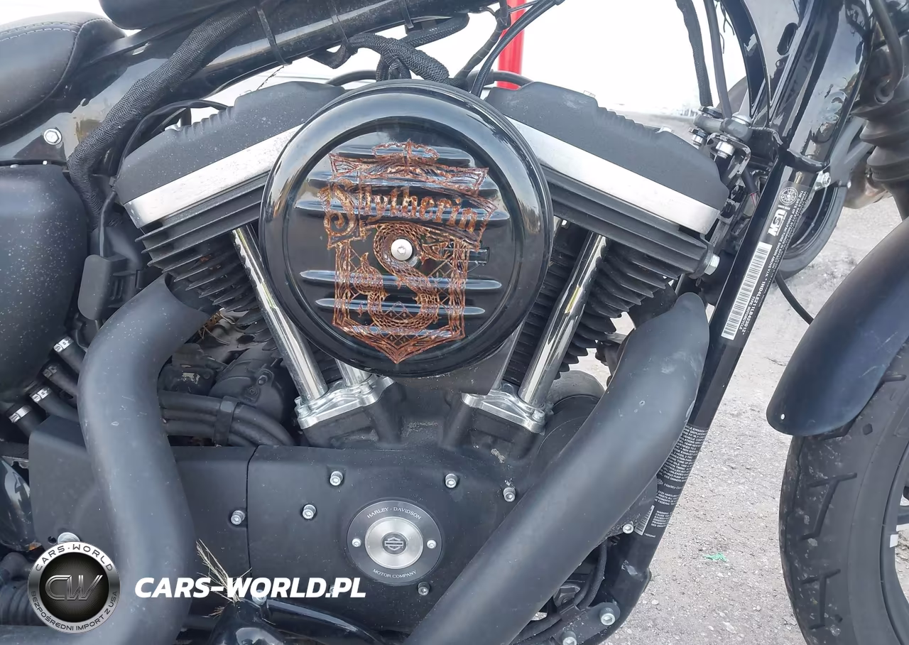 2020 Harley-Davidson Xl883 N VIN:1HD4LE211LB423012 - 8