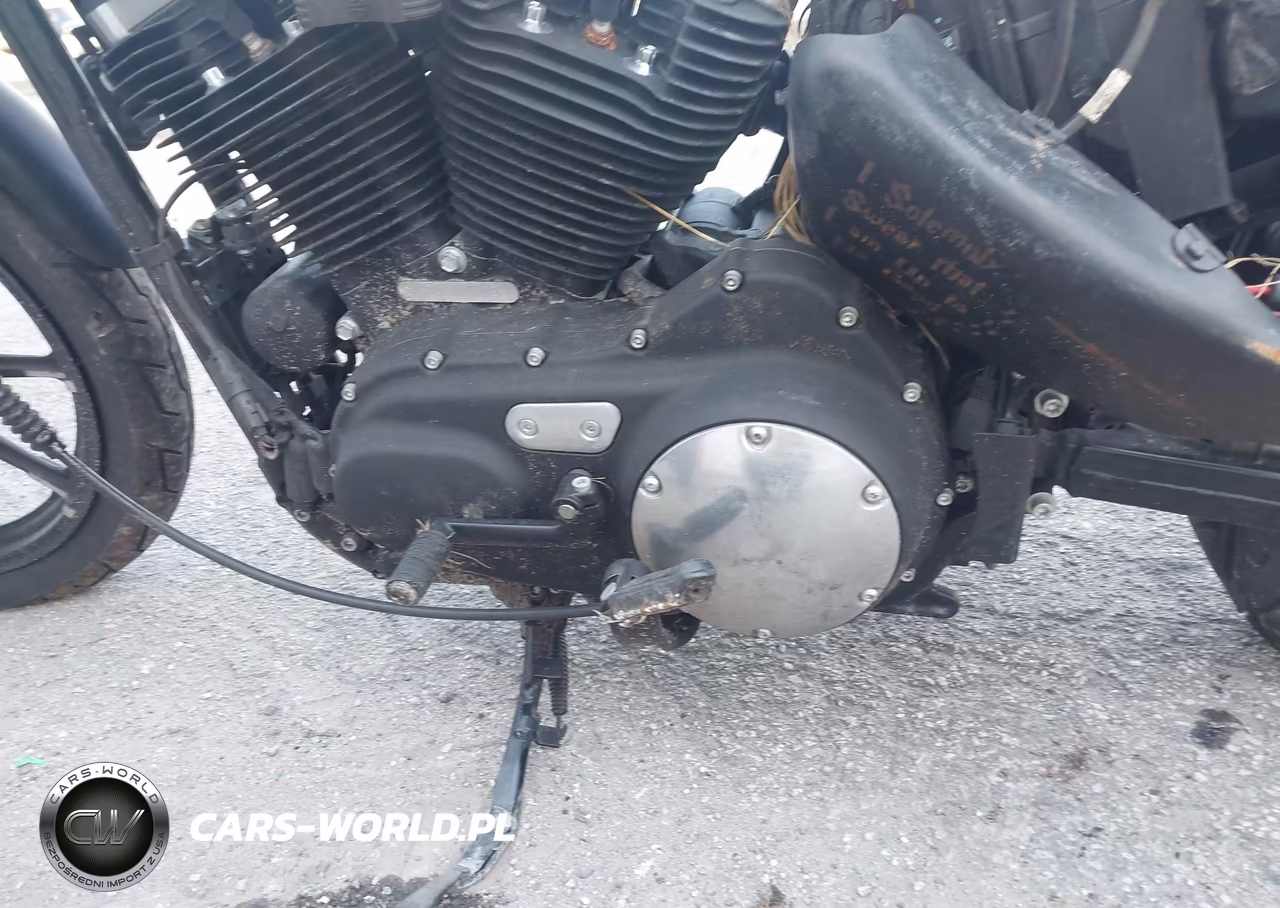 2020 Harley-Davidson Xl883 N VIN:1HD4LE211LB423012 - 9
