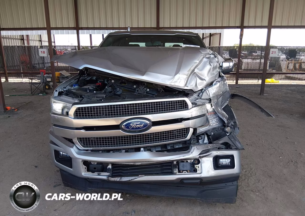2020 Ford F-150 Platinum VIN:1FTEW1C52LFA33696 - 12