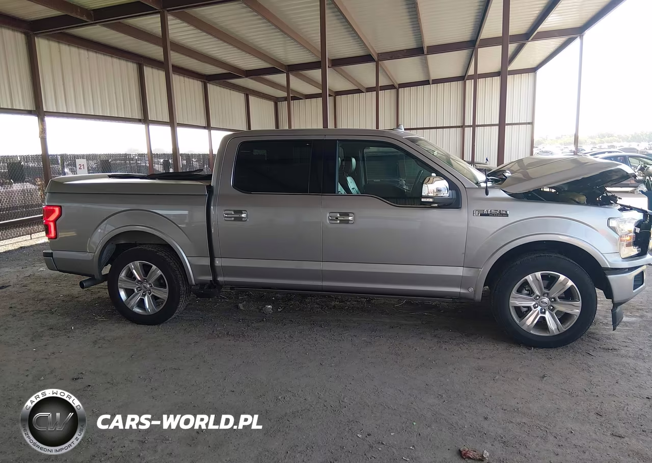 2020 Ford F-150 Platinum VIN:1FTEW1C52LFA33696 - 13