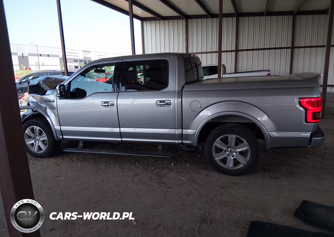 2020 Ford F-150 Platinum VIN:1FTEW1C52LFA33696 - 14