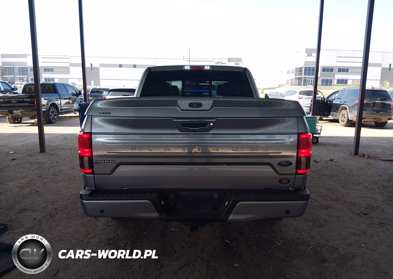 2020 Ford F-150 Platinum VIN:1FTEW1C52LFA33696 - 16