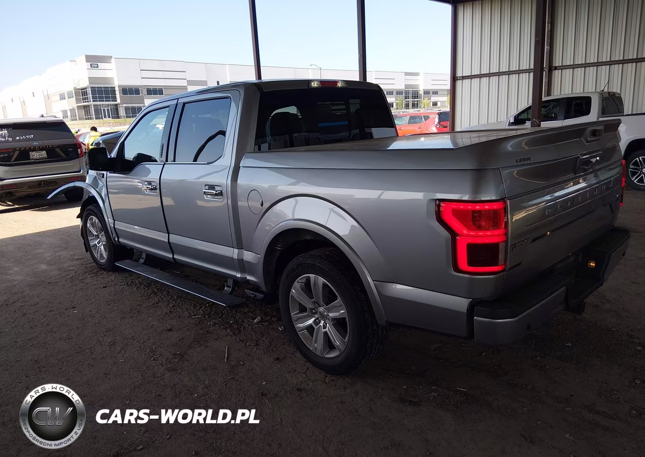 2020 Ford F-150 Platinum VIN:1FTEW1C52LFA33696 - 3