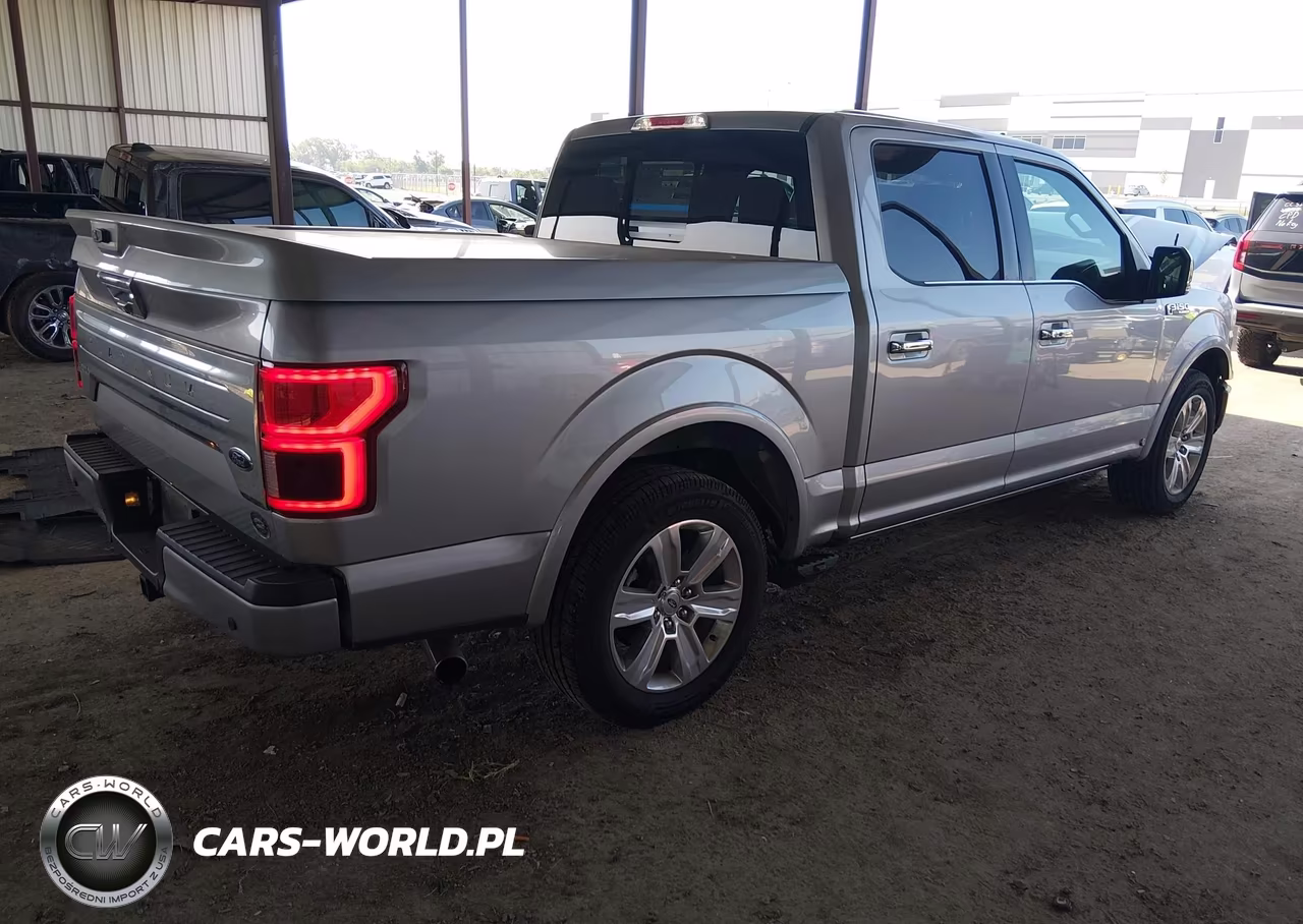 2020 Ford F-150 Platinum VIN:1FTEW1C52LFA33696 - 4
