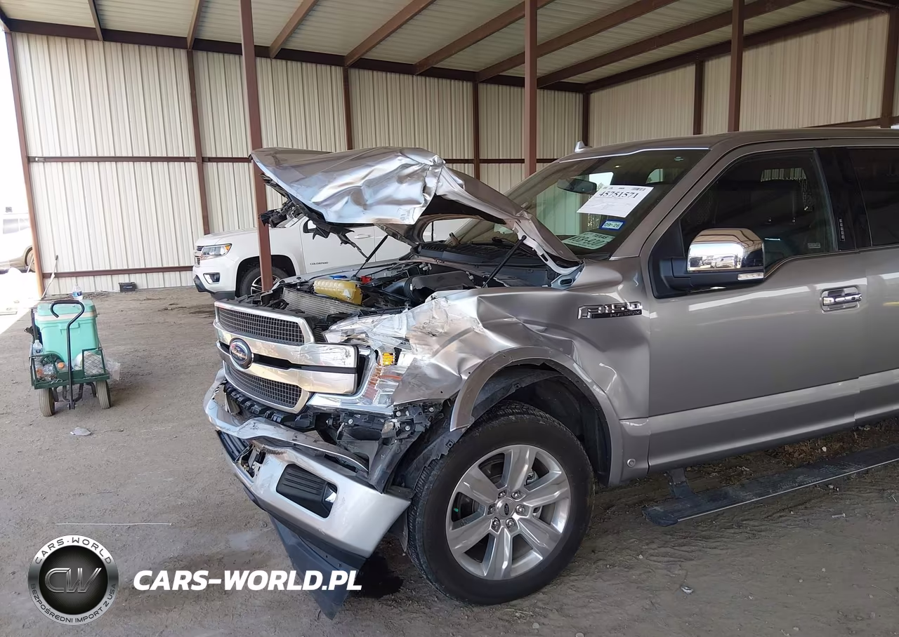 2020 Ford F-150 Platinum VIN:1FTEW1C52LFA33696 - 6