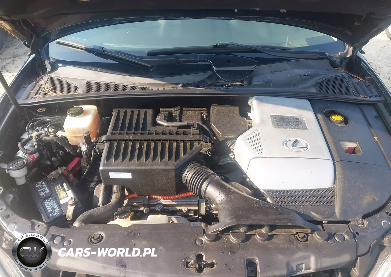2007 Lexus Rx 400H VIN:JTJGW31U072002276 - 10