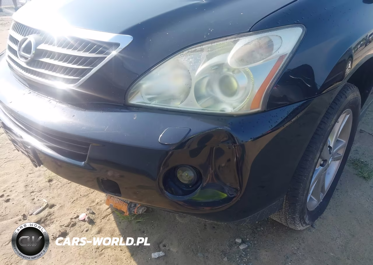 2007 Lexus Rx 400H VIN:JTJGW31U072002276 - 6