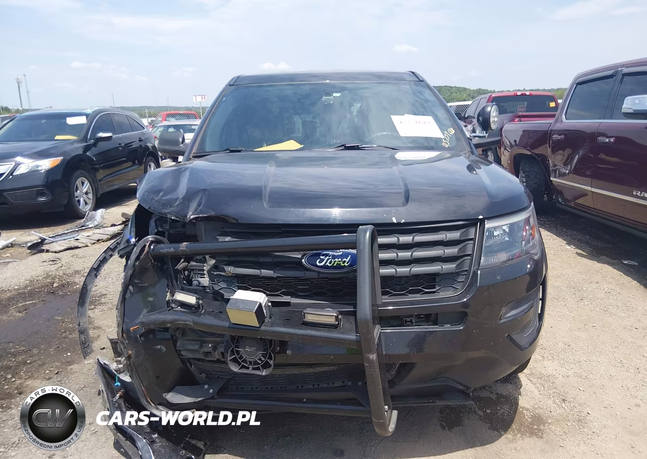 2019 Ford Police Interceptor Utility VIN:1FM5K8AR1KGB28989 - 12