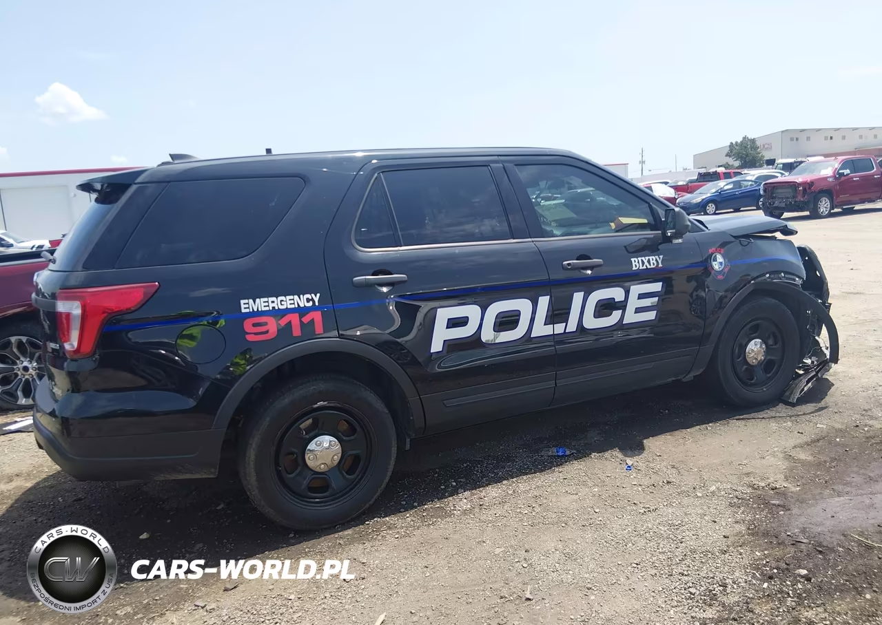 2019 Ford Police Interceptor Utility VIN:1FM5K8AR1KGB28989 - 13