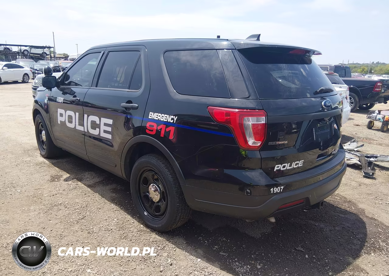 2019 Ford Police Interceptor Utility VIN:1FM5K8AR1KGB28989 - 3