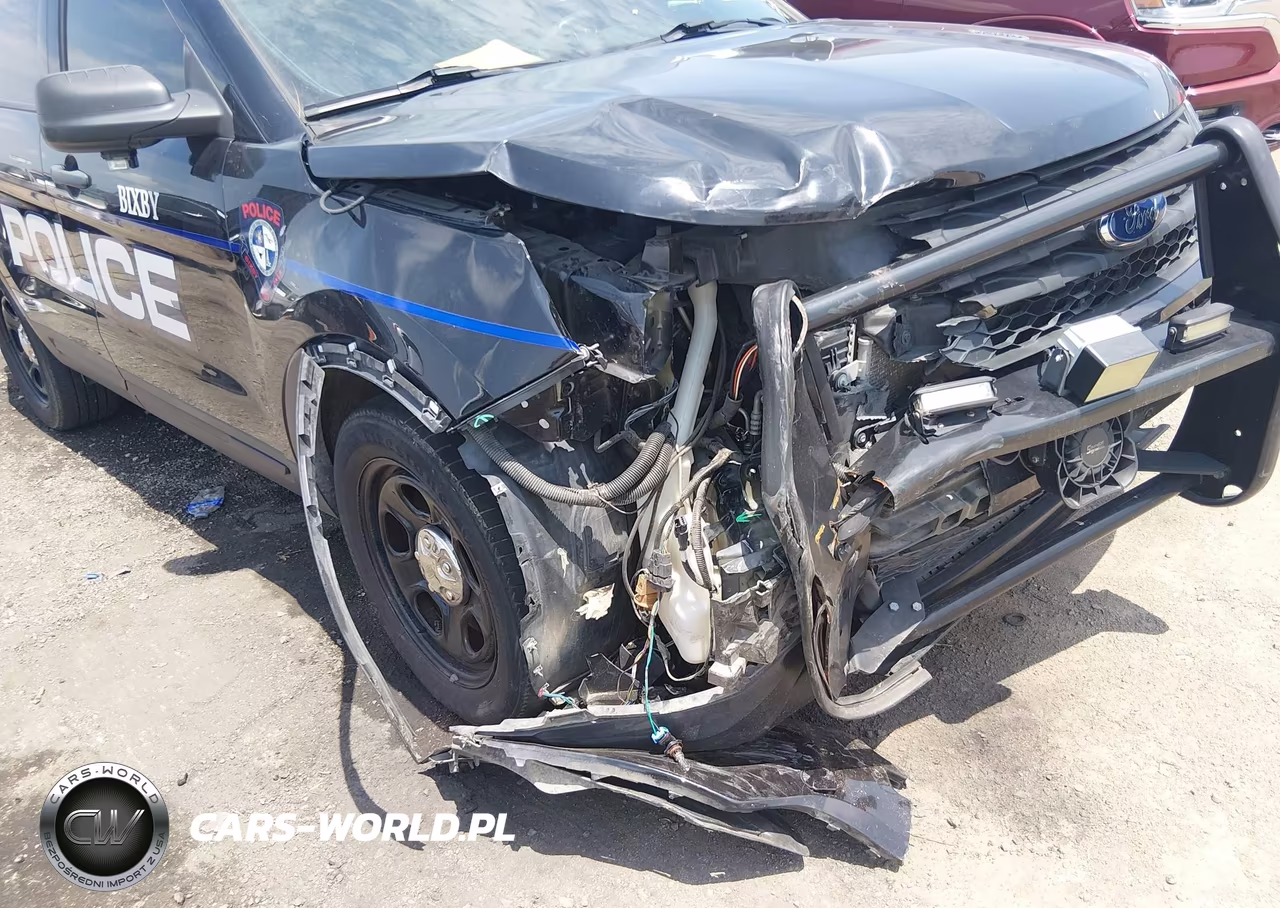 2019 Ford Police Interceptor Utility VIN:1FM5K8AR1KGB28989 - 6