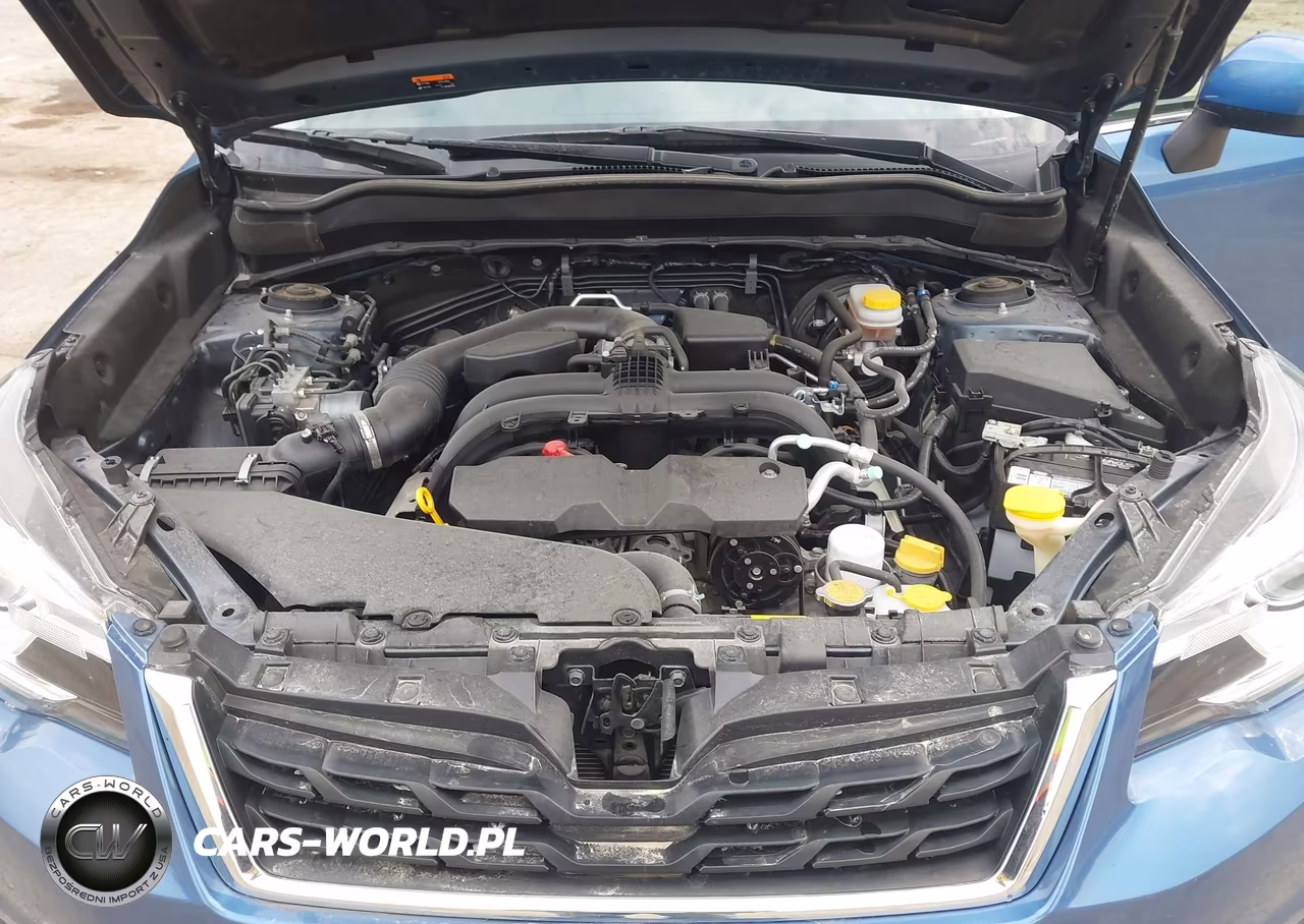 2018 Subaru Forester 2.5I Limited VIN:JF2SJARC5JH420673 - 10