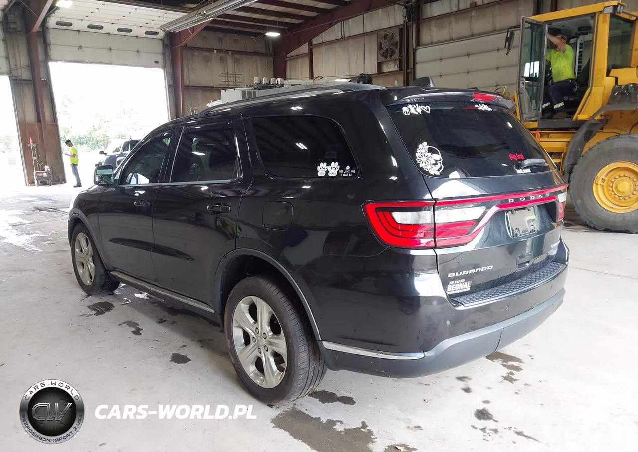 2014 Dodge Durango Limited VIN:1C4RDJDG3EC332447 - 3