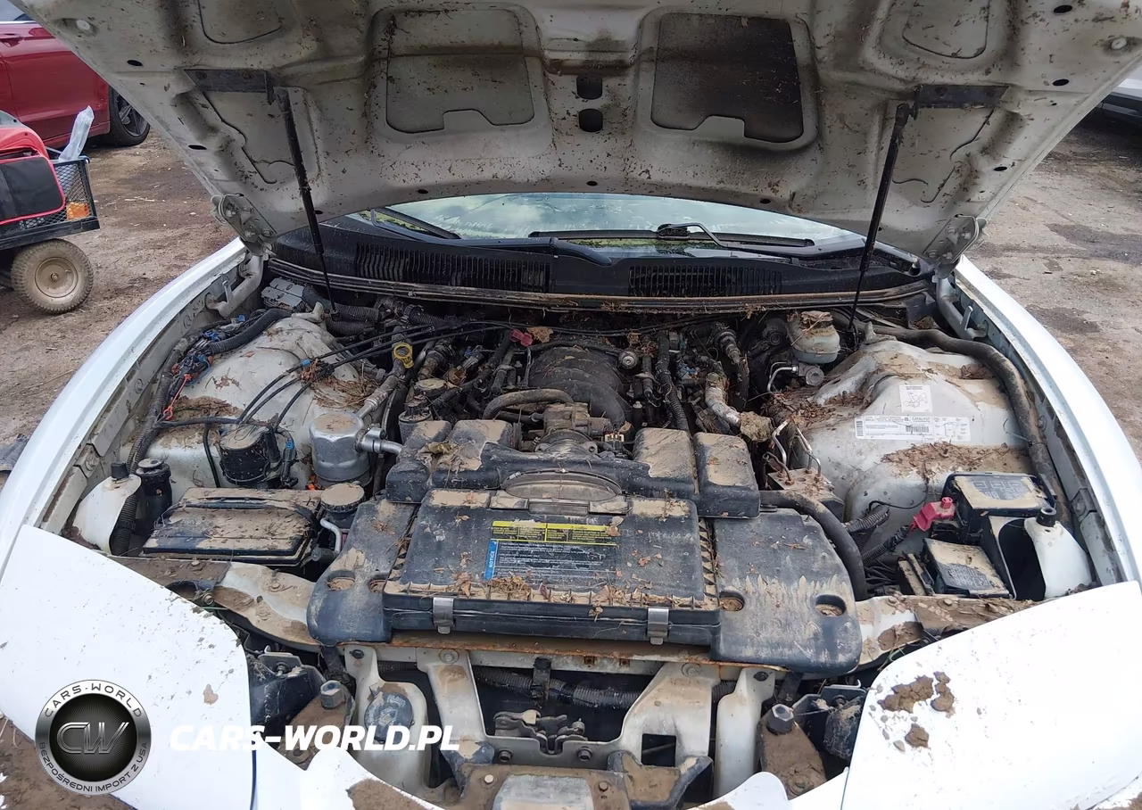 2000 Pontiac Firebird Trans Am VIN:2G2FV22G4Y2107911 - 10