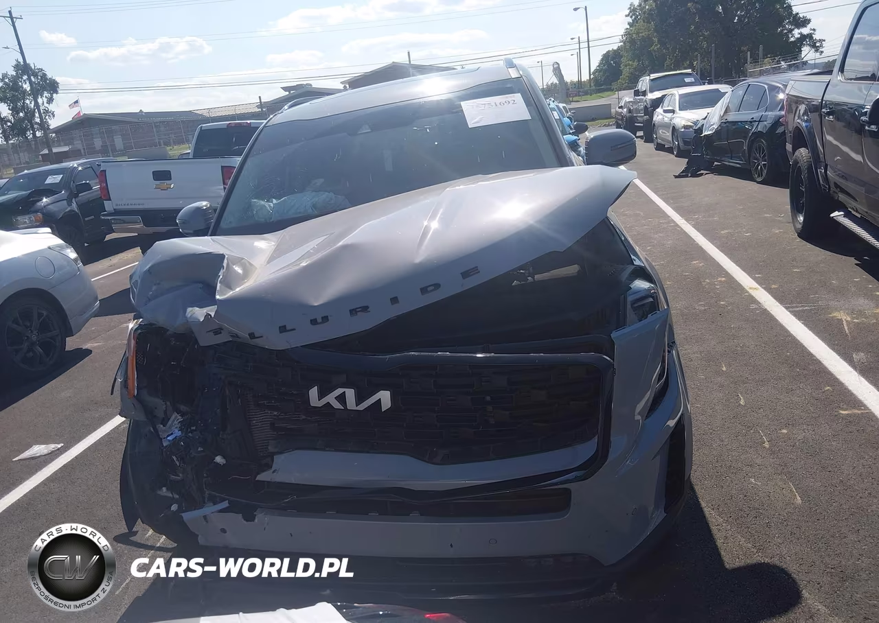 2022 Kia Telluride Sx VIN:5XYP5DHC0NG324931 - 11