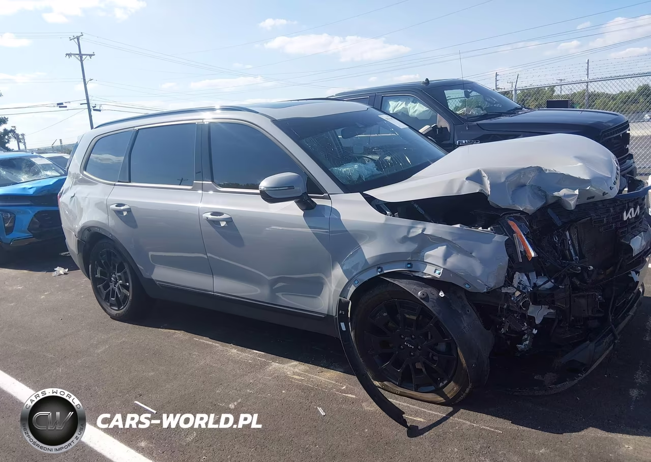2022 Kia Telluride Sx VIN:5XYP5DHC0NG324931 - 12