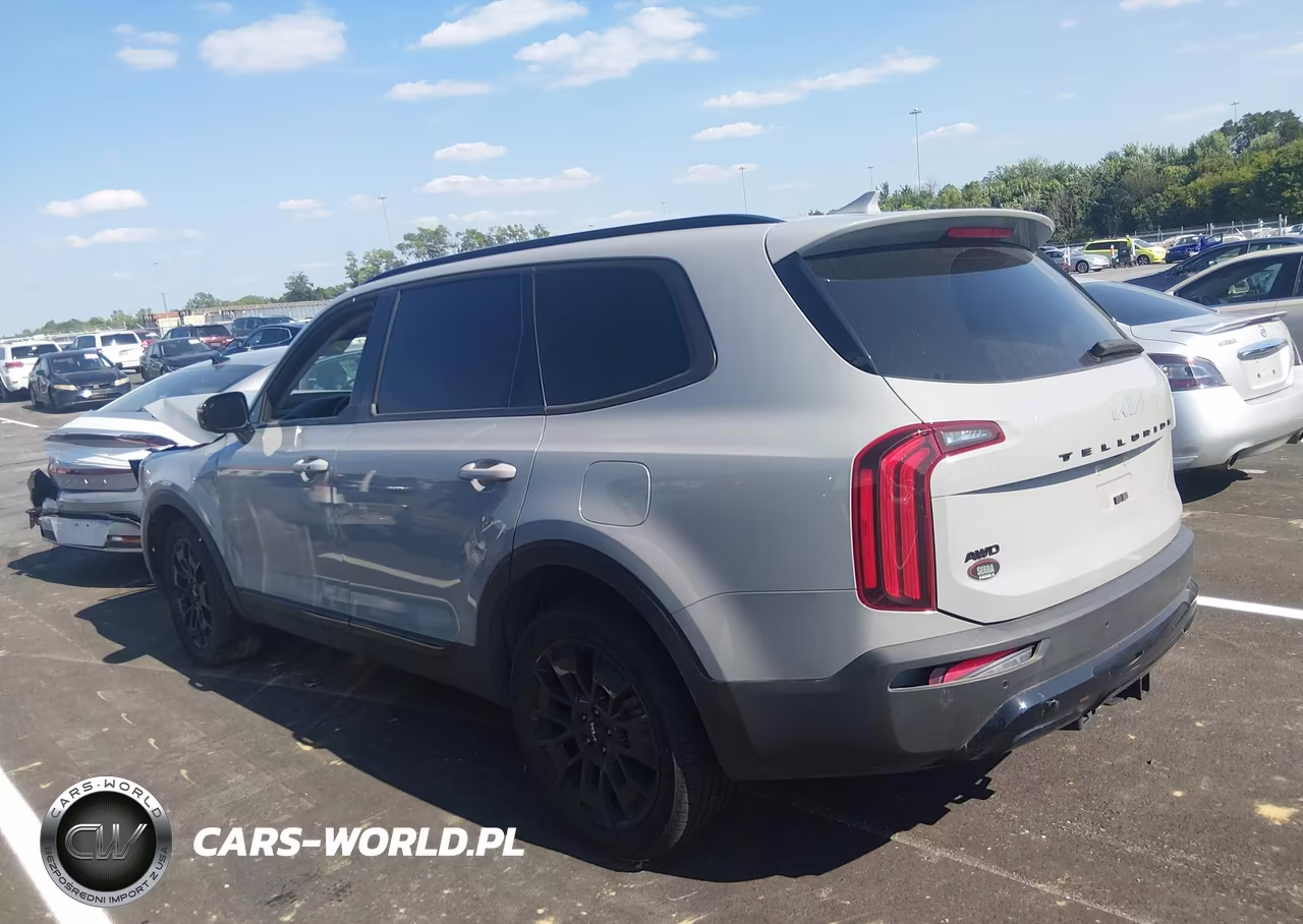 2022 Kia Telluride Sx VIN:5XYP5DHC0NG324931 - 13