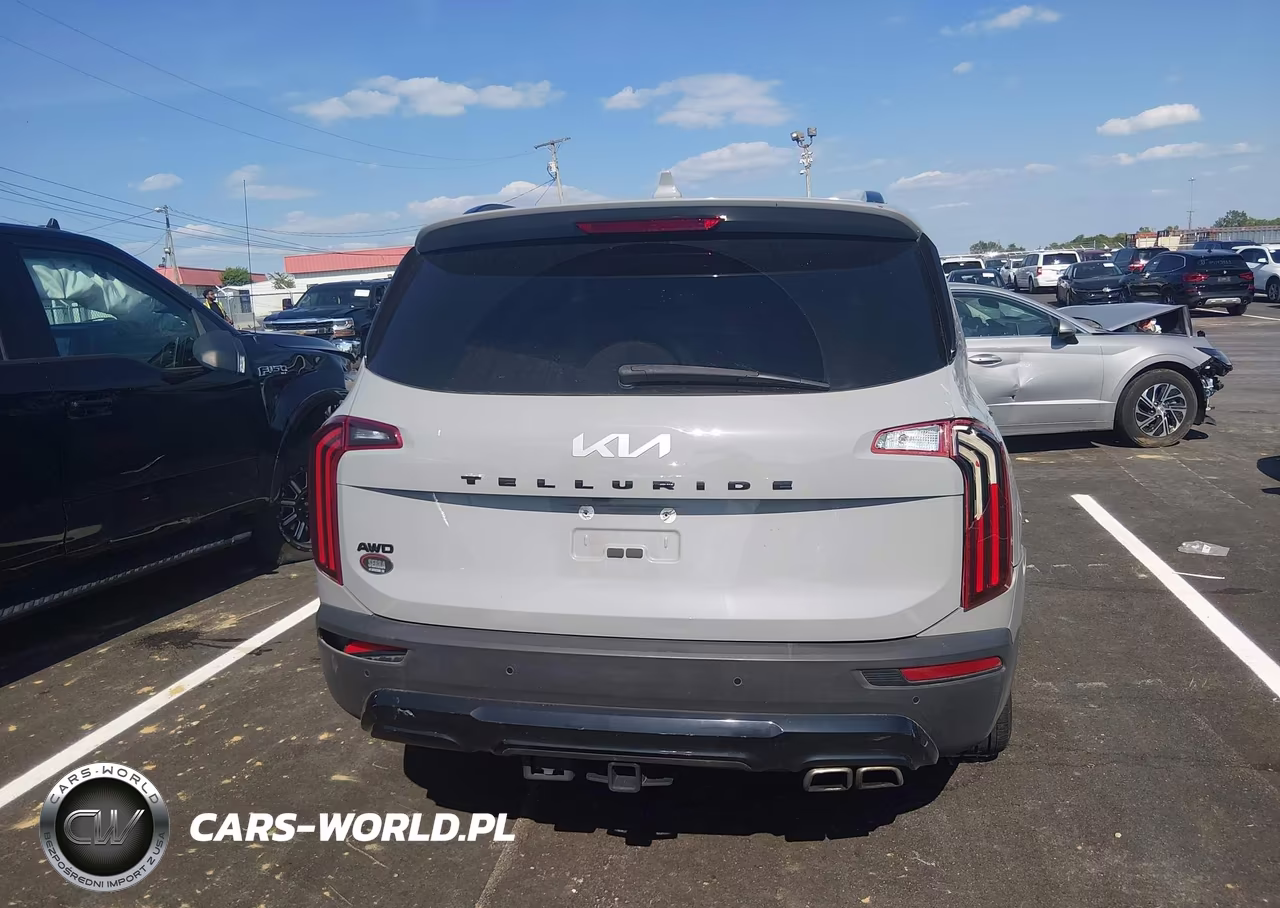 2022 Kia Telluride Sx VIN:5XYP5DHC0NG324931 - 15