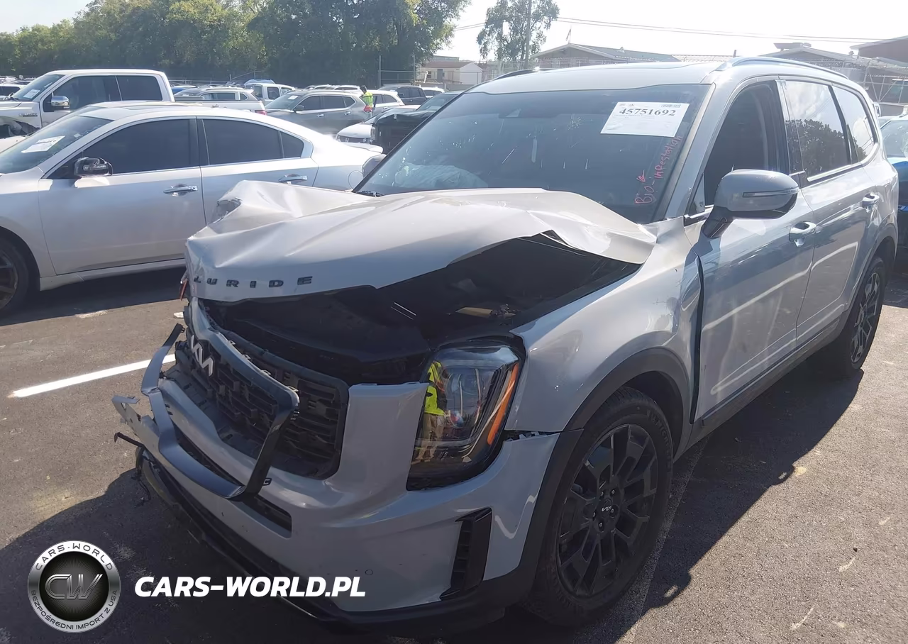 2022 Kia Telluride Sx VIN:5XYP5DHC0NG324931 - 16