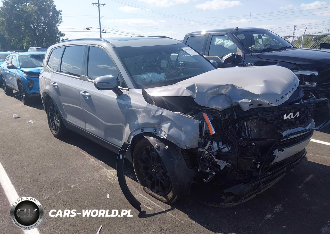 2022 Kia Telluride Sx VIN:5XYP5DHC0NG324931 - 17