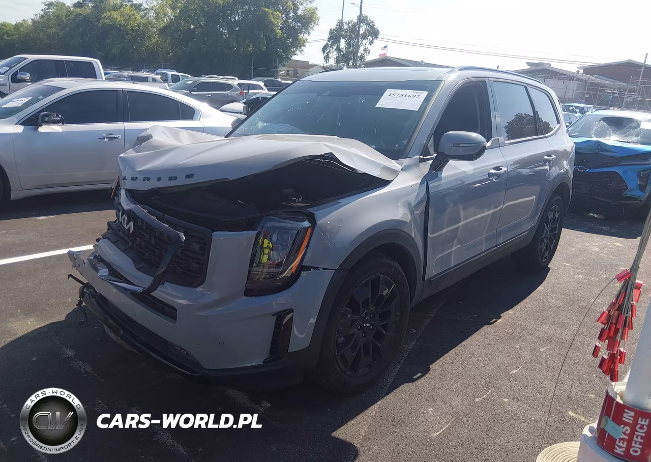 2022 Kia Telluride Sx VIN:5XYP5DHC0NG324931 - 2