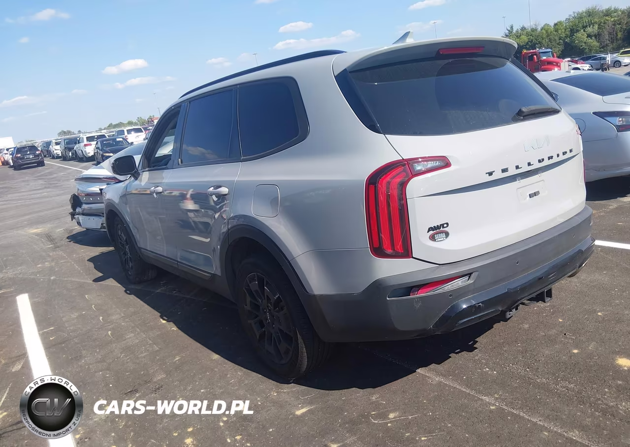 2022 Kia Telluride Sx VIN:5XYP5DHC0NG324931 - 3