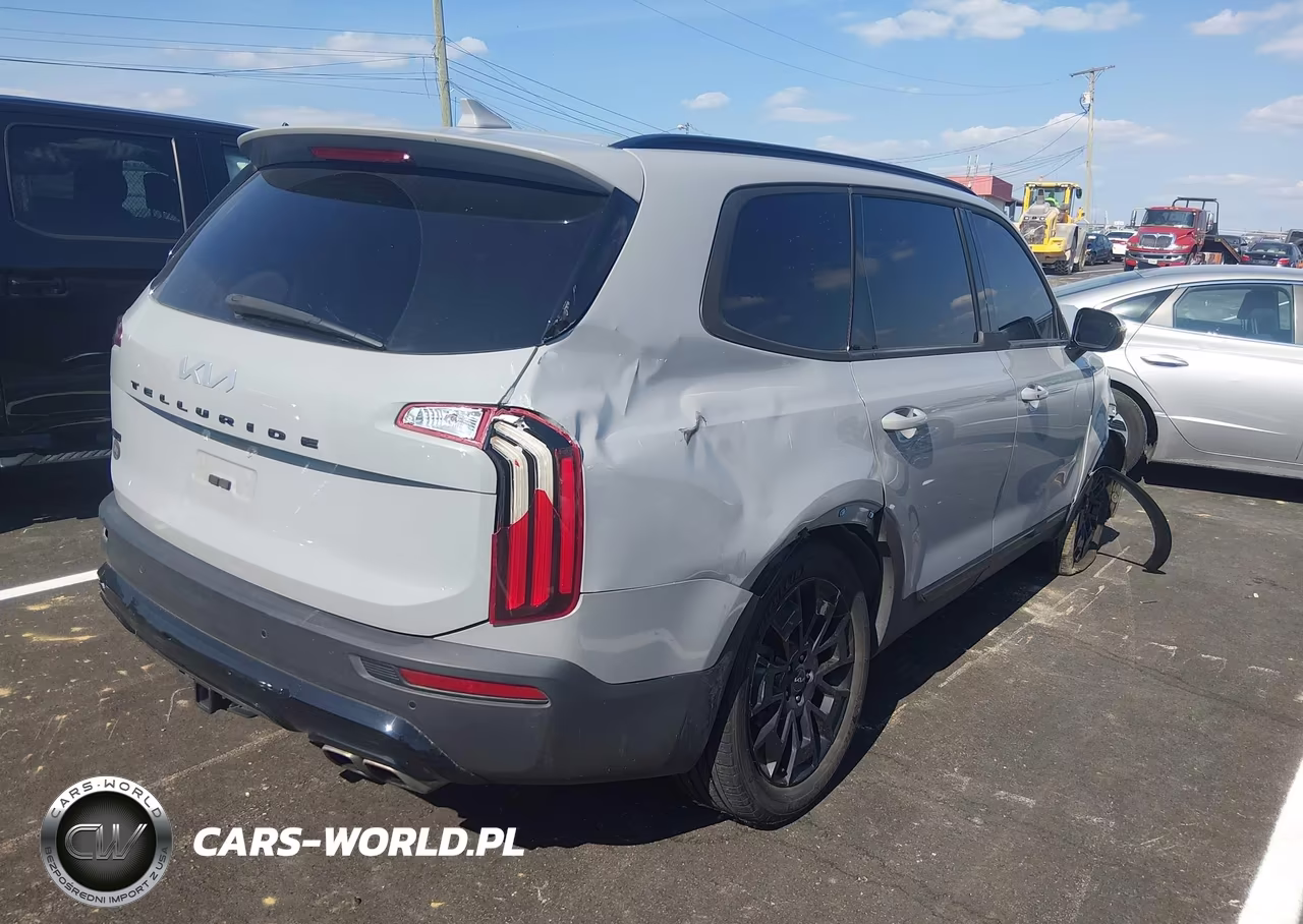 2022 Kia Telluride Sx VIN:5XYP5DHC0NG324931 - 4