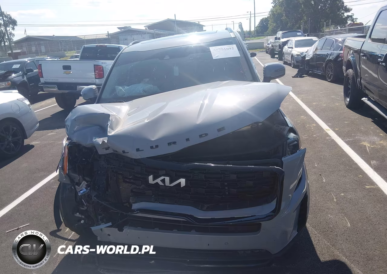 2022 Kia Telluride Sx VIN:5XYP5DHC0NG324931 - 6