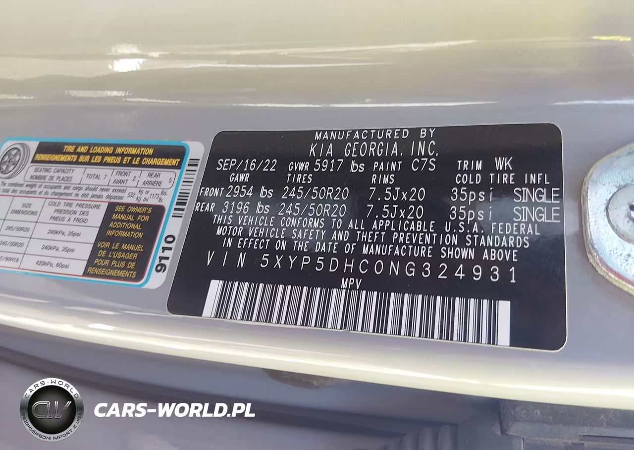 2022 Kia Telluride Sx VIN:5XYP5DHC0NG324931 - 9