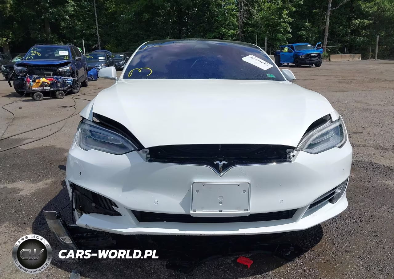 2018 Tesla Model S 100D-75D-P100D VIN:5YJSA1E2XJF296718 - 12