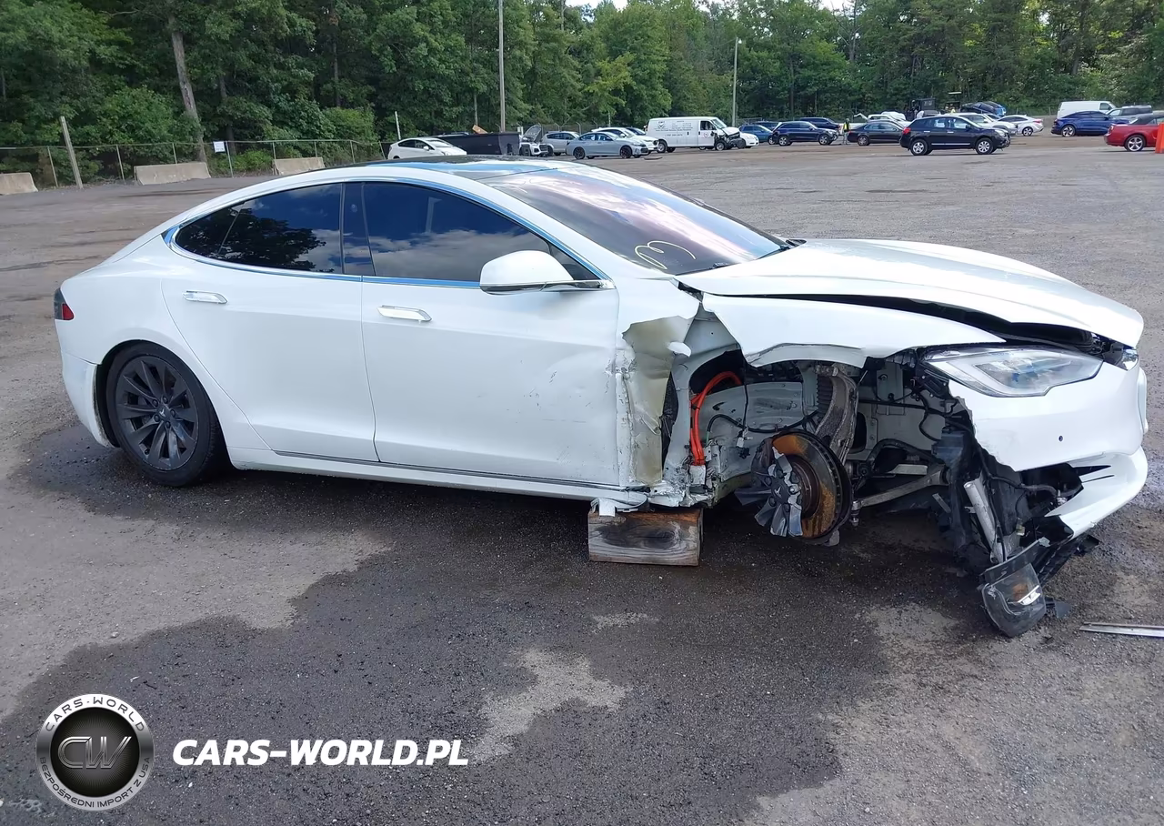 2018 Tesla Model S 100D-75D-P100D VIN:5YJSA1E2XJF296718 - 13