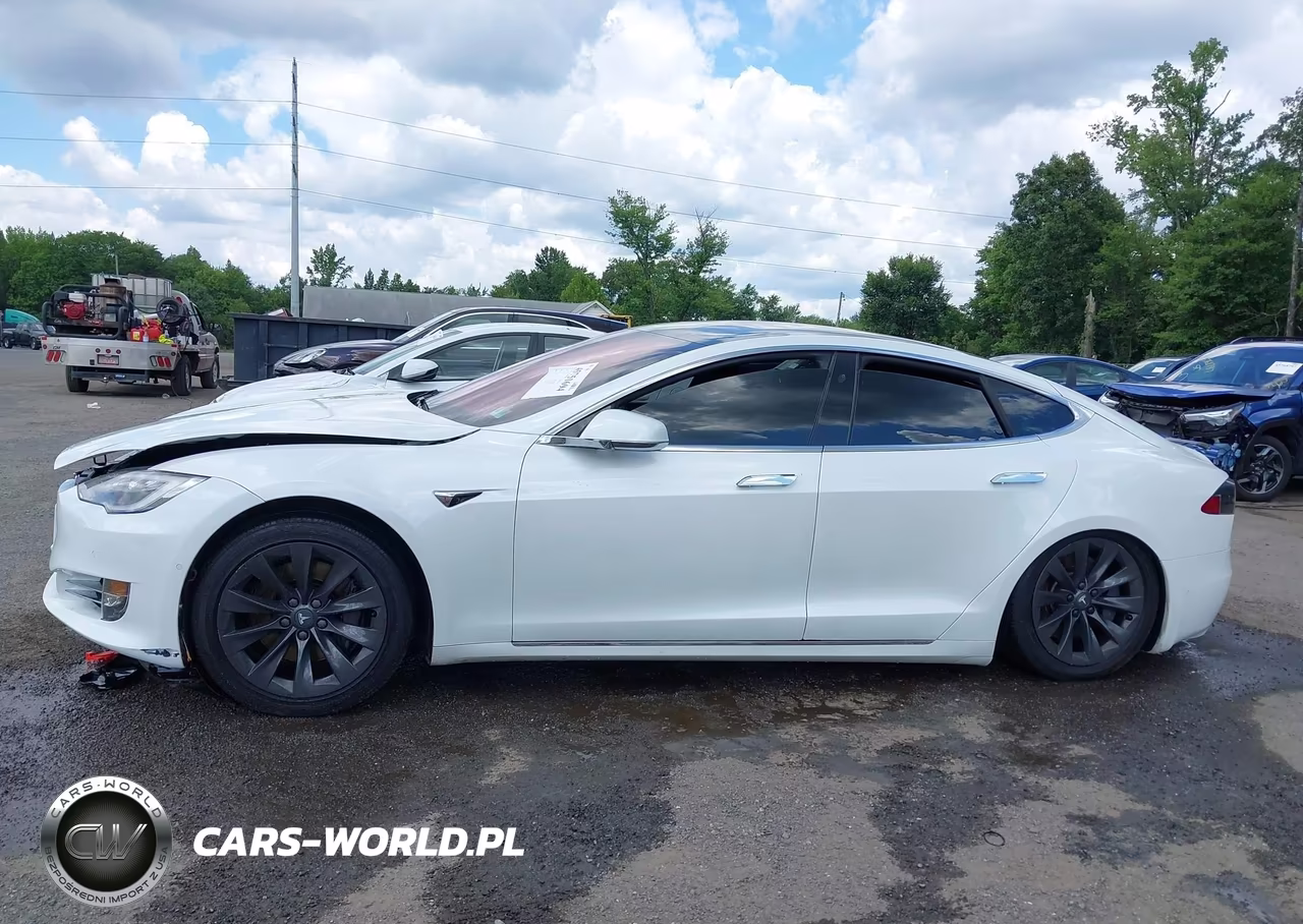 2018 Tesla Model S 100D-75D-P100D VIN:5YJSA1E2XJF296718 - 14