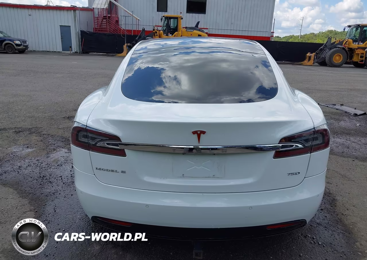 2018 Tesla Model S 100D-75D-P100D VIN:5YJSA1E2XJF296718 - 16