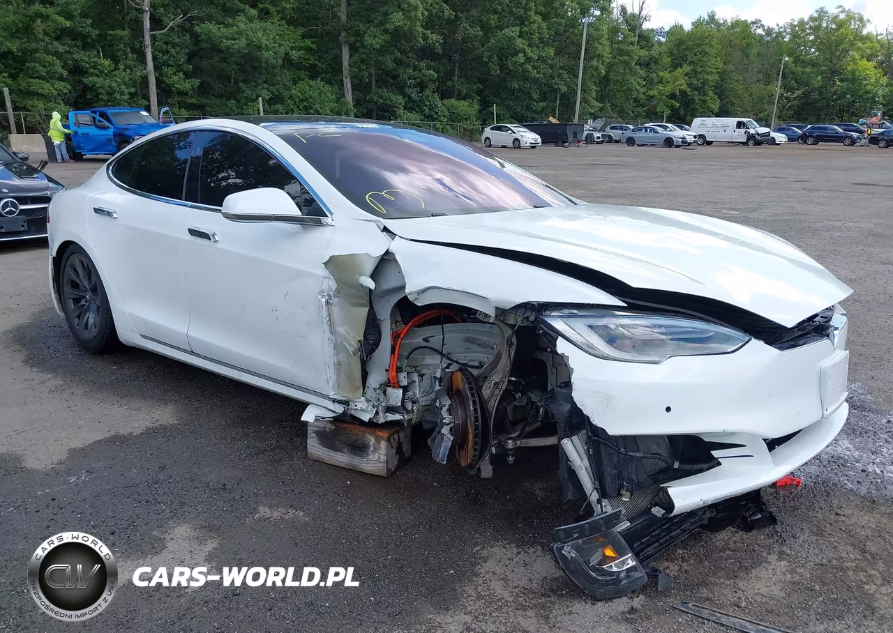 2018 Tesla Model S 100D-75D-P100D VIN:5YJSA1E2XJF296718 - 6