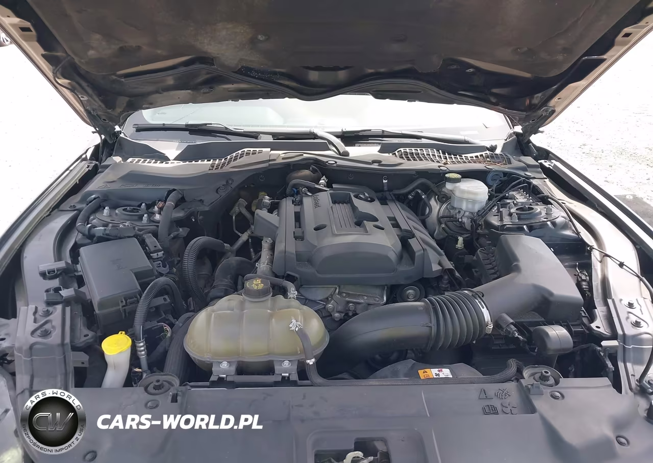 2018 Ford Mustang Ecoboost VIN:1FA6P8TH6J5117033 - 10