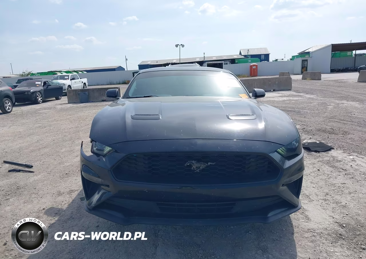 2018 Ford Mustang Ecoboost VIN:1FA6P8TH6J5117033 - 12