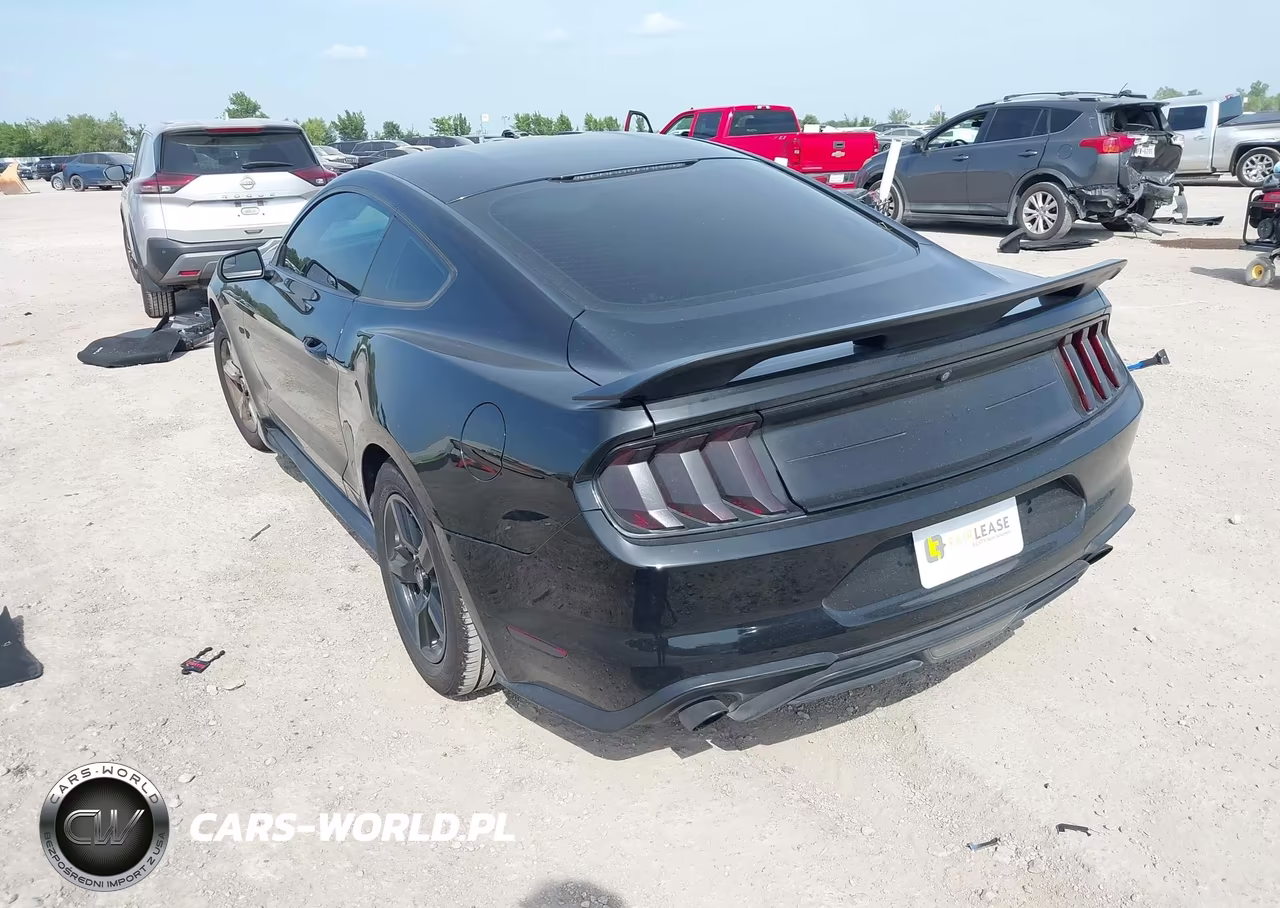2018 Ford Mustang Ecoboost VIN:1FA6P8TH6J5117033 - 3