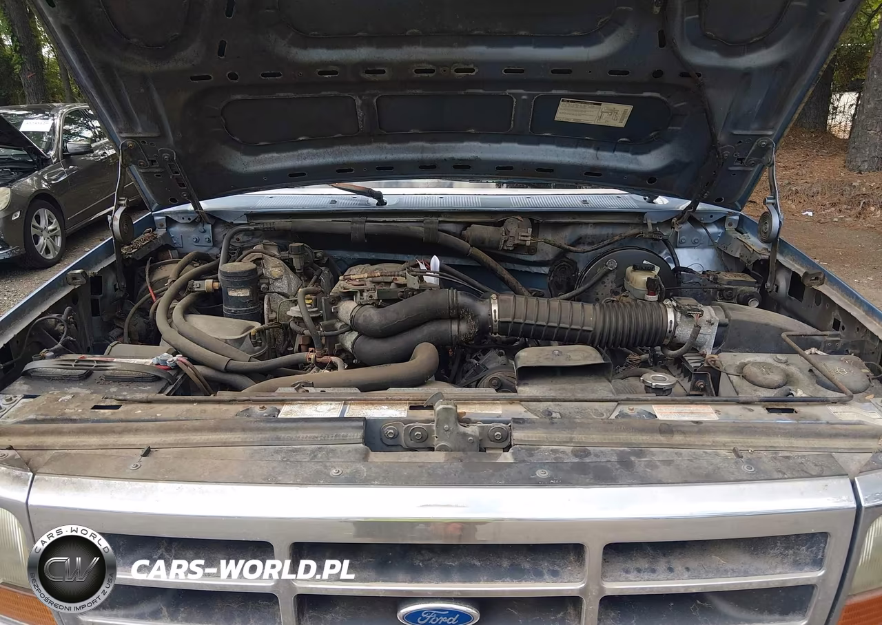 1996 Ford F150 VIN:1FTEF15N0TNA00862 - 10
