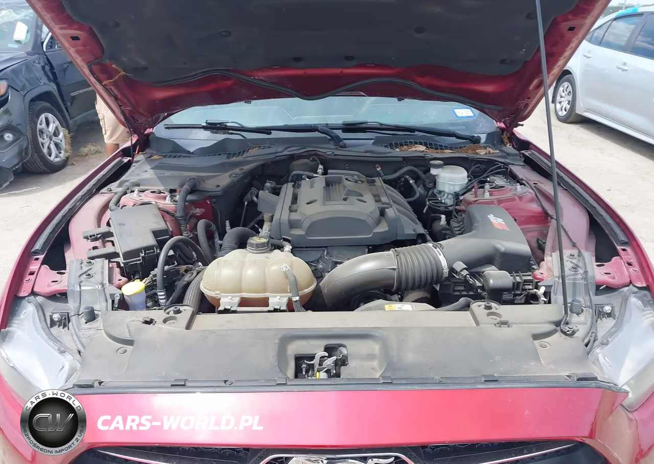 2015 Ford Mustang Ecoboost VIN:1FA6P8TH7F5386584 - 10