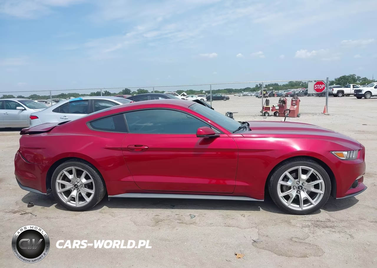 2015 Ford Mustang Ecoboost VIN:1FA6P8TH7F5386584 - 13