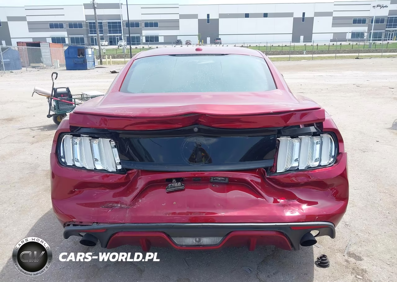 2015 Ford Mustang Ecoboost VIN:1FA6P8TH7F5386584 - 16