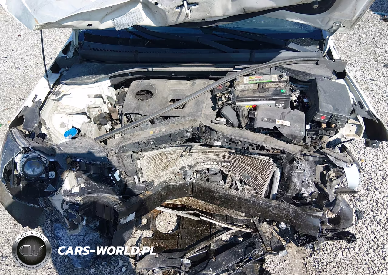 2019 Hyundai Elantra Sel VIN:5NPD84LF7KH493621 - 10