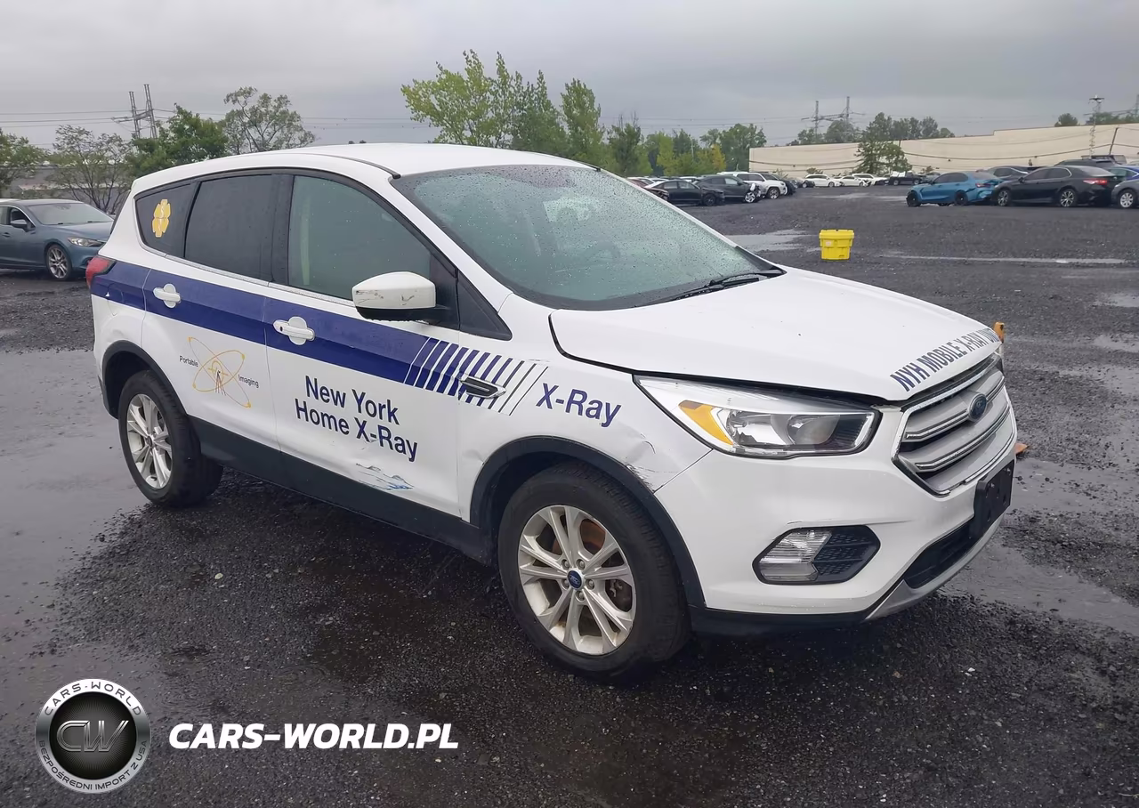 2019 Ford Escape Se